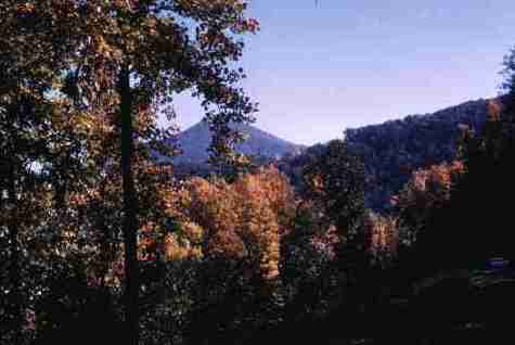 nps2122.jpg