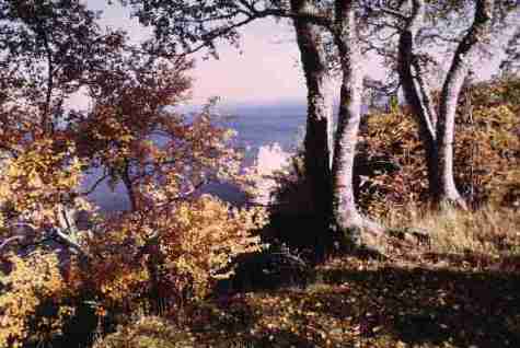 nps2126.jpg