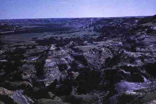 nps2141.jpg