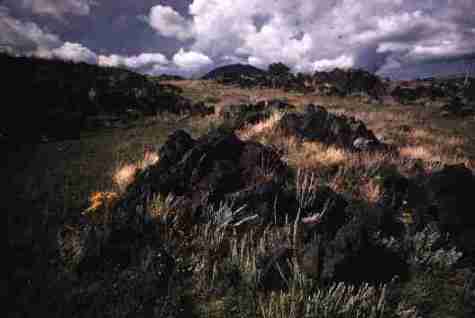 nps2143.jpg