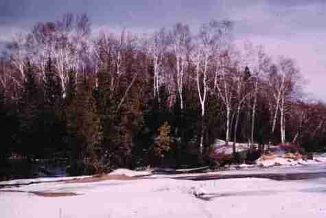 nps2145.jpg