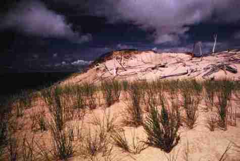 nps2152.jpg