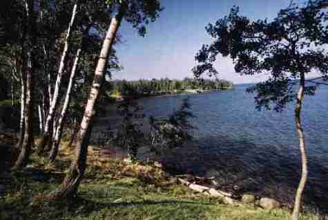 nps2153.jpg