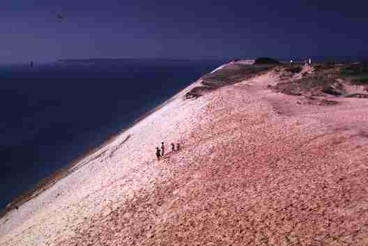 nps2156.jpg
