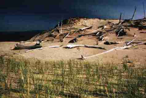 nps2169.jpg