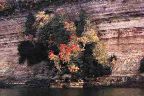 nps2171.jpg