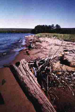 nps2193.jpg