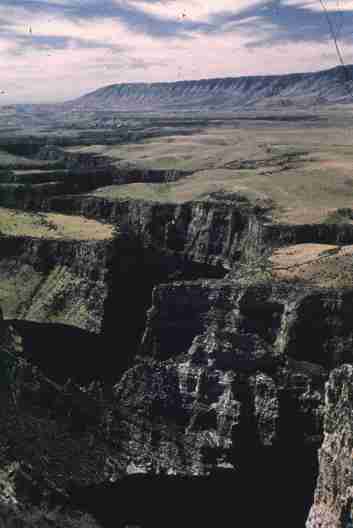 nps2196.jpg