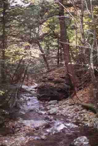 nps2198.jpg
