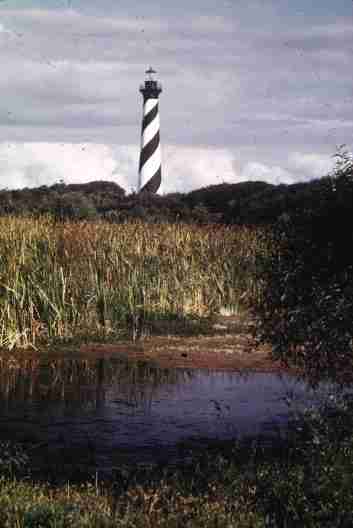 nps2200.jpg
