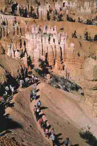 nps2221.jpg