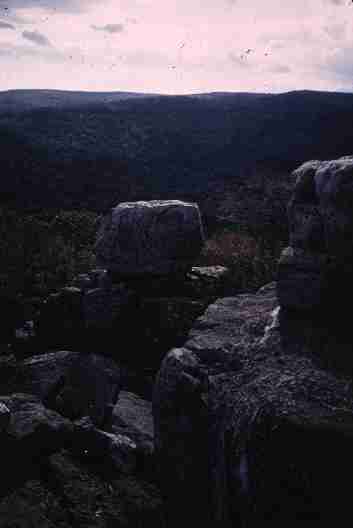 nps2223.jpg