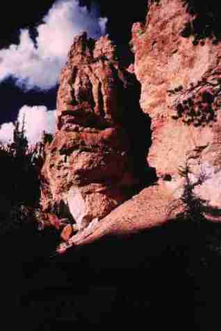 nps2224.jpg
