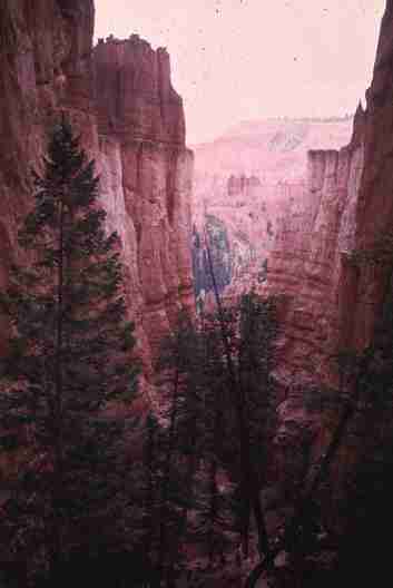 nps2227.jpg