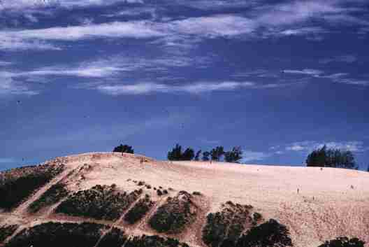 nps2228.jpg