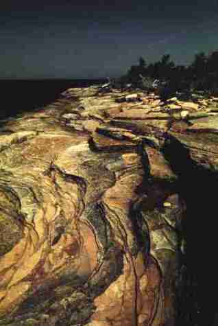 nps2233.jpg