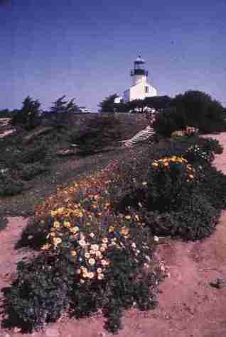 nps2250.jpg