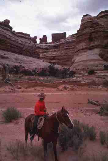 nps2253.jpg