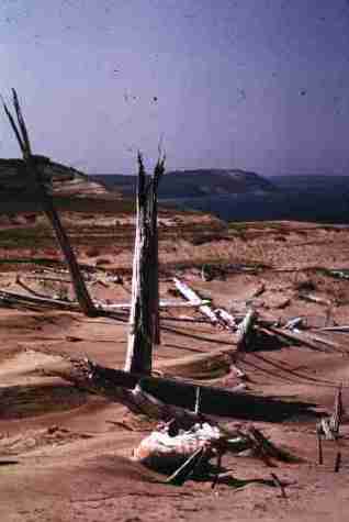 nps2258.jpg