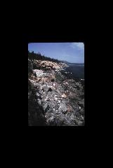 Acadia NP - Maine 007.jpg
