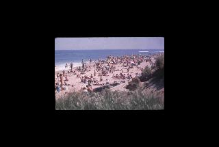 cape cod NS - Massachusetts 068.jpg