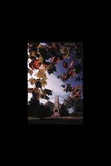 Cowpens NB - South Carolina 072.jpg