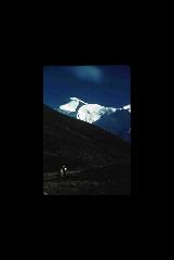 Denali NP - Mount McKinley - Alaska 257.jpg