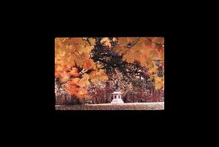 Guilford Courthouse NB - North Carolina 137.jpg