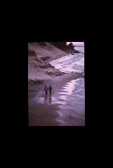 Indiana Dunes NL - Indiana 175.jpg