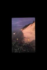 Indiana Dunes NL - Indiana 176.jpg