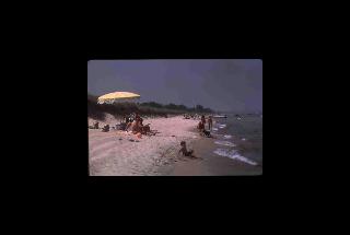 Indiana Dunes NL - Indiana 193.jpg