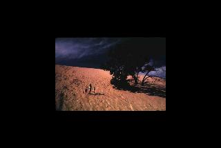 Indiana Dunes NL - Indiana 195.jpg