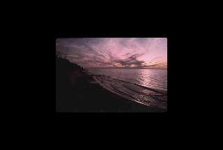 Indiana Dunes NL - Indiana 204.jpg