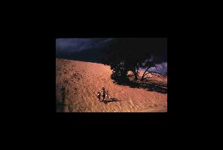 Indiana Dunes NL - Indiana 211.jpg