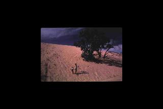 Indiana Dunes NL - Indiana 218.jpg