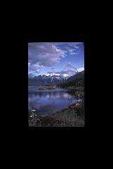 Katmai NP and P - Alaska 221.jpg