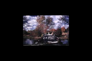 Minute Man NHP - Massachusetts 236.jpg