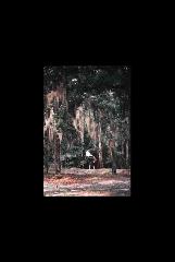 Moores Creek NMP - North Carolina 249.jpg