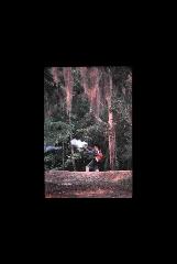 Moores Creek NMP - North Carolina 252.jpg