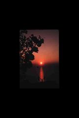 Sleeping Bear Dunes NL - Michigan 343.jpg