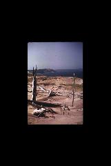 Sleeping Bear Dunes NL - Michigan 353.jpg