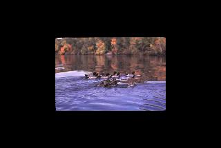 St Croix NSR - Wis and Minn 361.jpg