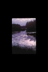 St Croix NSR - Wis and Minn 399.jpg