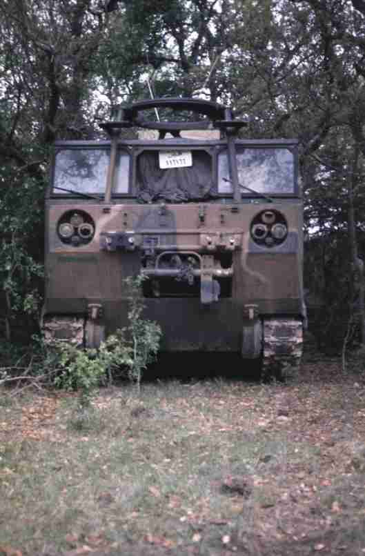 AF10011.jpg