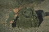 Forward Air Control Quick Force '84