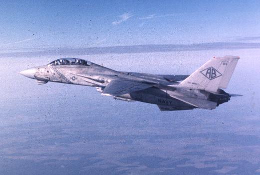 RFMV2050 - US Navy - F-14 Tomcat .jpg