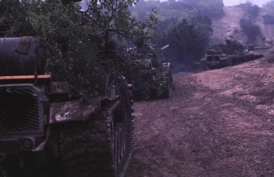RFMV2291 - 77-224- .jpg