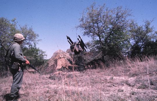RFMV2319 - 77-224- .jpg