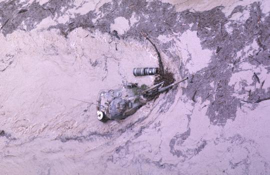RFMV2322 - 77-224- .jpg