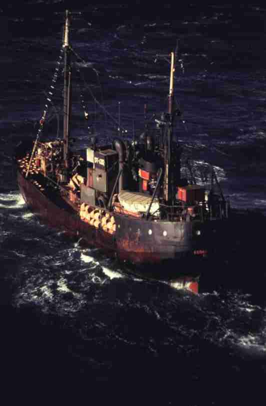 rfmv3004.jpg
